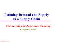 Planning Demand and Supply in a Supply Chain