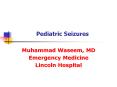 Pediatric Seizures PowerPoint PPT Presentation