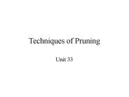 Techniques of Pruning