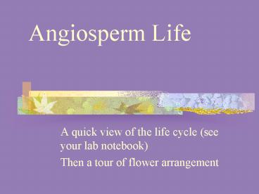 Angiosperm Life