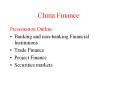 China Finance PowerPoint PPT Presentation