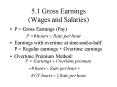 5.1 Gross Earnings Wages and Salaries