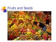 Fruits and Seeds PowerPoint PPT Presentation