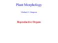 Plant Morphology Michael G. Simpson PowerPoint PPT Presentation