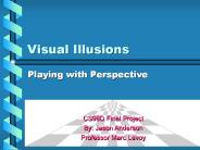 Visual Illusions