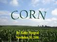 CORN PowerPoint PPT Presentation