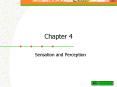 Sensation and Perception PowerPoint PPT Presentation