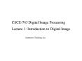 CSCE763 Digital Image Processing PowerPoint PPT Presentation