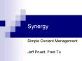 Synergy PowerPoint PPT Presentation