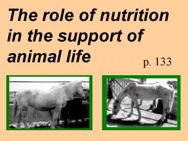 The role of nutrition in the support of animal life