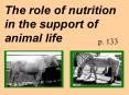 The role of nutrition in the support of animal life PowerPoint PPT Presentation