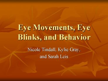 Eye Movements, Eye Blinks, and Behavior