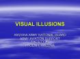 VISUAL ILLUSIONS PowerPoint PPT Presentation