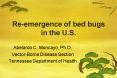 Reemergence of bed bugs in the U.S. PowerPoint PPT Presentation