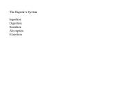 The Digestive System