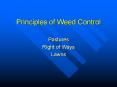 Principles of Weed Control PowerPoint PPT Presentation