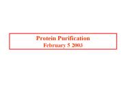 Protein Purification February 5 2003