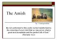 The Amish PowerPoint PPT Presentation