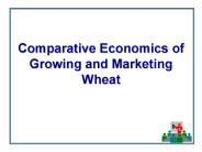 Comparative Economics of Growing and Marketing Wheat