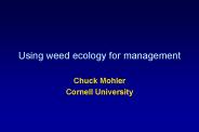 Using weed ecology for management