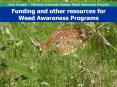 Carla Hoopes -- Montana Statewide Noxious Weed Awareness Program PowerPoint PPT Presentation