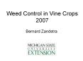 Weed Control in Vine Crops 2007 PowerPoint PPT Presentation