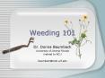 Weeding 101 PowerPoint PPT Presentation