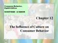The Influence of Culture on Consumer Behavior PowerPoint PPT Presentation