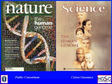 What is the Human Genome Project