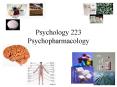 Psychology 223 Psychopharmacology PowerPoint PPT Presentation