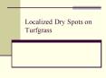 Localized Dry Spots on Turfgrass PowerPoint PPT Presentation
