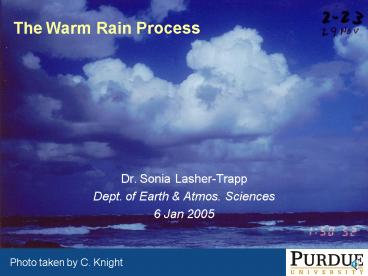 The Warm Rain Process