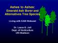 Ashes to Ashes: Emerald Ash Borer and Alternatives Tree Species Living with EAB Webcast Dr. Laura G. PowerPoint PPT Presentation