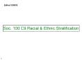 Soc. 100 C9 Racial PowerPoint PPT Presentation