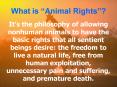 What is Animal Rights PowerPoint PPT Presentation