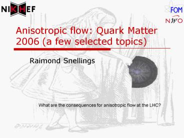 Anisotropic flow: Quark Matter 2006 a few selected topics