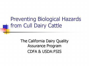 Preventing Biological Hazards from Cull Dairy Cattle