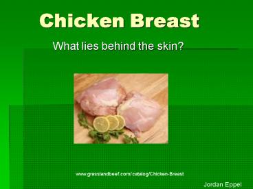 Chicken Breast