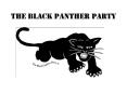 The Black Panther Party PowerPoint PPT Presentation