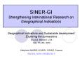 SINERGI Strengthening International Research on Geographical Indications PowerPoint PPT Presentation