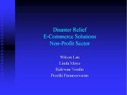 Disaster Relief E-Commerce Solutions Non-Profit Sector