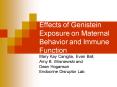 Effects of Genistein Exposure on Maternal Behavior and Immune Function PowerPoint PPT Presentation