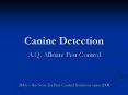 Canine Detection A.Q. Allstate Pest Control PowerPoint PPT Presentation