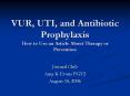 VUR, UTI, and Antibiotic Prophylaxis How to Use an Article About Therapy or Prevention PowerPoint PPT Presentation