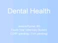 Dental Health PowerPoint PPT Presentation