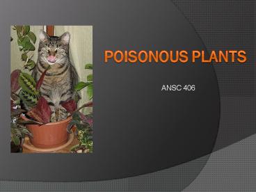 Poisonous plants