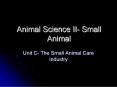 Animal Science II Small Animal PowerPoint PPT Presentation