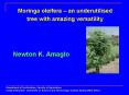 Moringa oleifera  PowerPoint PPT Presentation