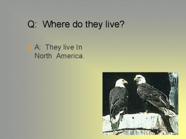 Q: Where do they live