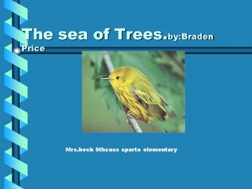 The sea of Trees.by:Braden Price